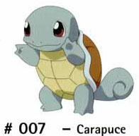N 007 Carapuce